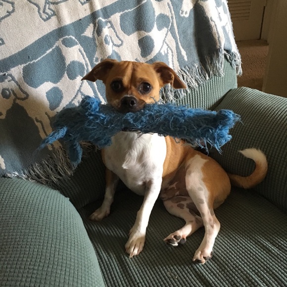 Meet your Posher, Karen - Picture 2 of 4